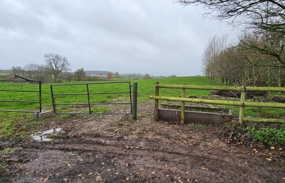 Land - No PP for sale in Cotonwood photo